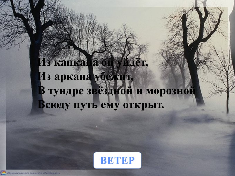 ВЕТЕР Из капкана он уйдёт, Из аркана убежит, В тундре звёздной и морозной Всюду